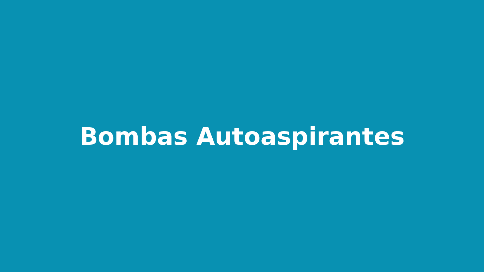 Bombas Autoaspirantes
