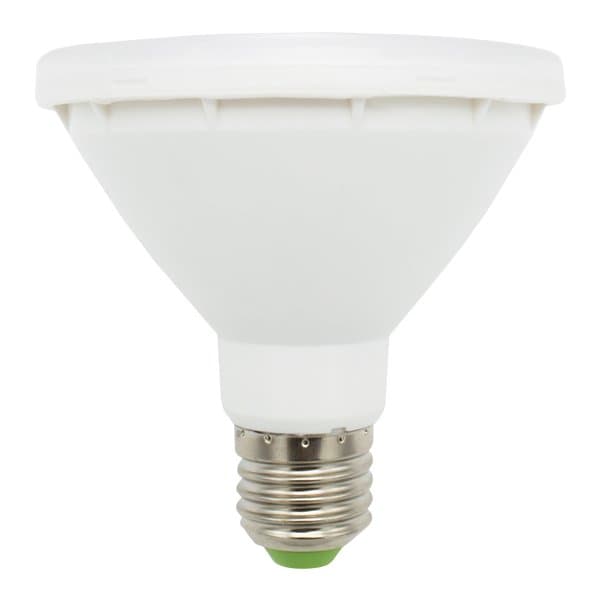 Lâmpada LED PAR30 Base E27 – 10W